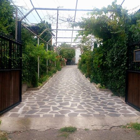 Guesthouse Giorgi เทลาวี ภายนอก รูปภาพ
