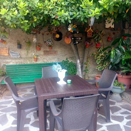 Guesthouse Giorgi เทลาวี ภายนอก รูปภาพ